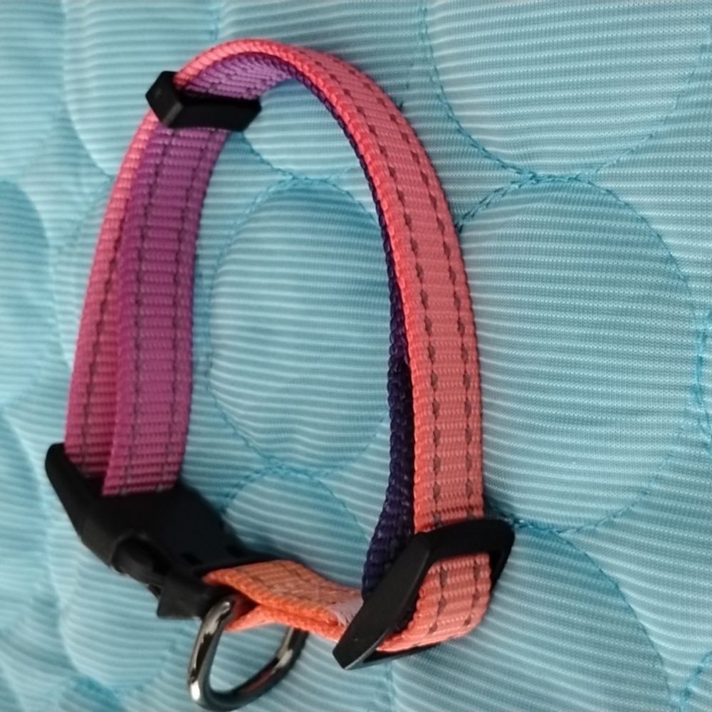 Colorful Pink and Purple Dog Collar - Picture 2 of 4